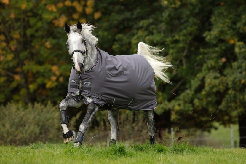 A grey Amigo Bravo 12 Blanket shown on an expressive grey horse running with its tail held high